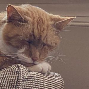 Meet your Posher, Matthew